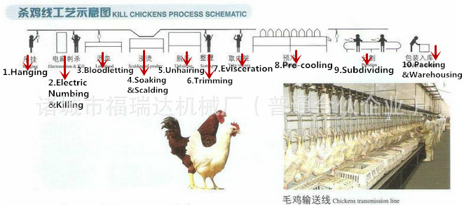 杀鸡线工艺视图