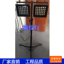 汽修灯补漆打蜡工作 抛光捕纹灯30W 大功率 双头带1.6米支架