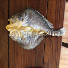 黄花鱼专用烘干机 大黄鱼热泵冷风干燥机 小黄鱼风干机除湿原理