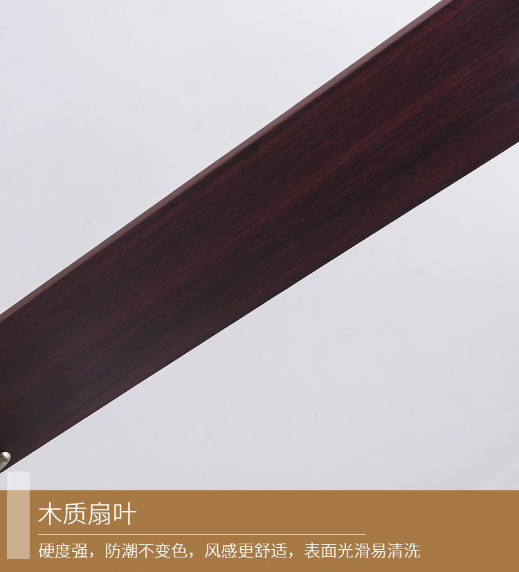 五叶五灯_25.jpg