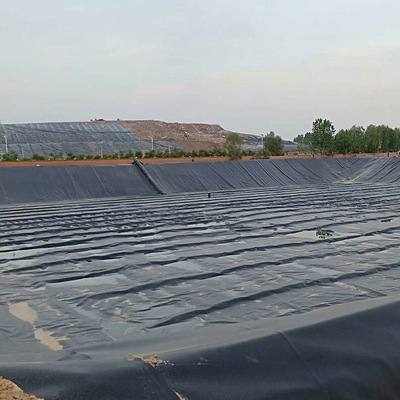 污水池专用黑色防水防渗膜厂家 沼气池防渗膜 批发|ms