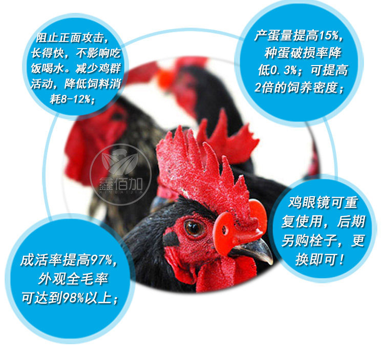 鸡眼镜AA详情页 (4).jpg