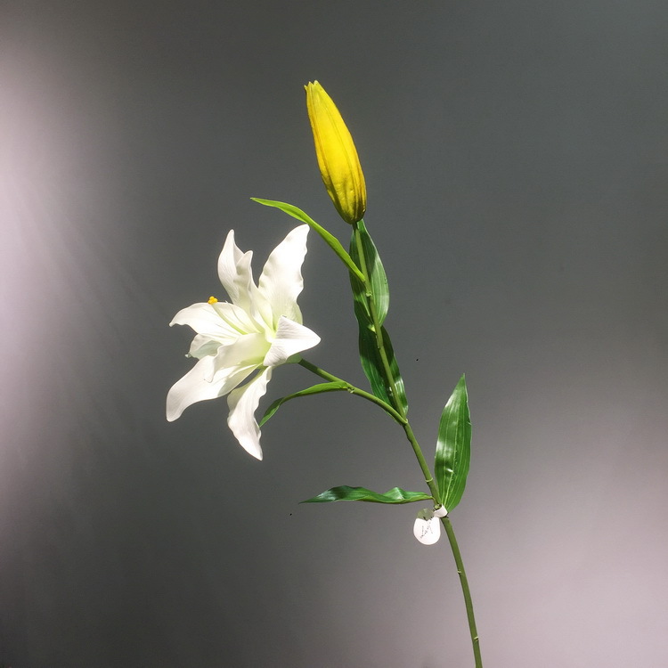 2-1白色百合.JPG
