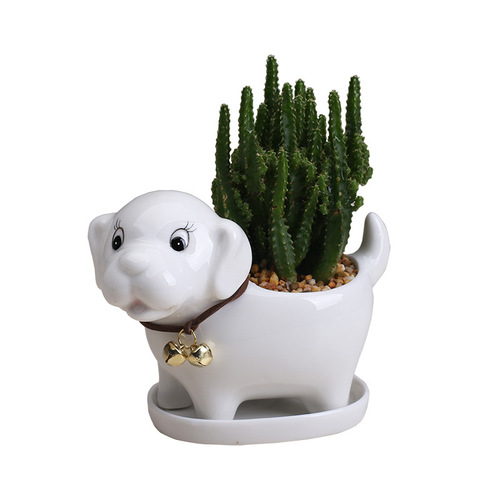European simple cartoon puppy succulent flowerpot ceramic creative gardening desktop plant container home decoration ornaments
