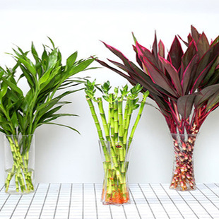 ����ʽcˮ�฻�F��ֲ���҃��������^���񻨻�ϲ��y�����ԾGֲ