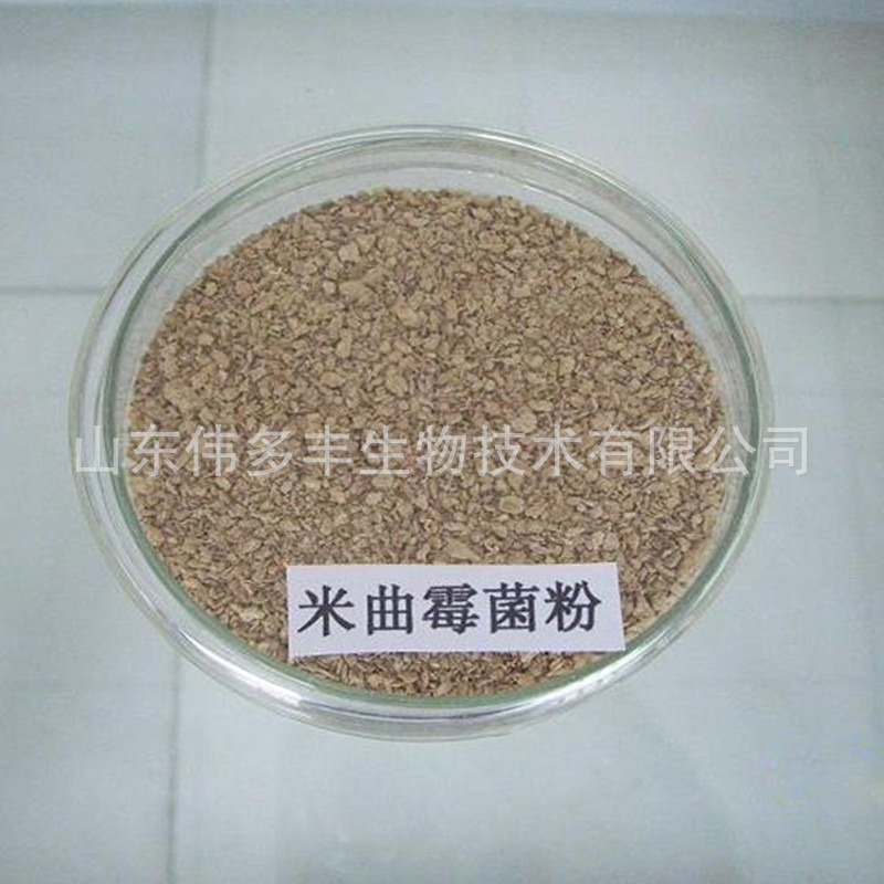 米曲霉价格优惠 饲料级微生物菌种 饲料添加菌粉