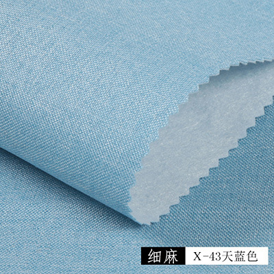 스카이 블루 FX-43