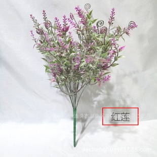 ��؛��/�S��ֱ��ֲëˮ�����^��ʮ��Ŀֲë���R��/����ֲ���b�