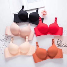 ���־���Ů����ͷ�������޸�Ȧ6Ůʿ��£�޺�һƬʽ���µ�����