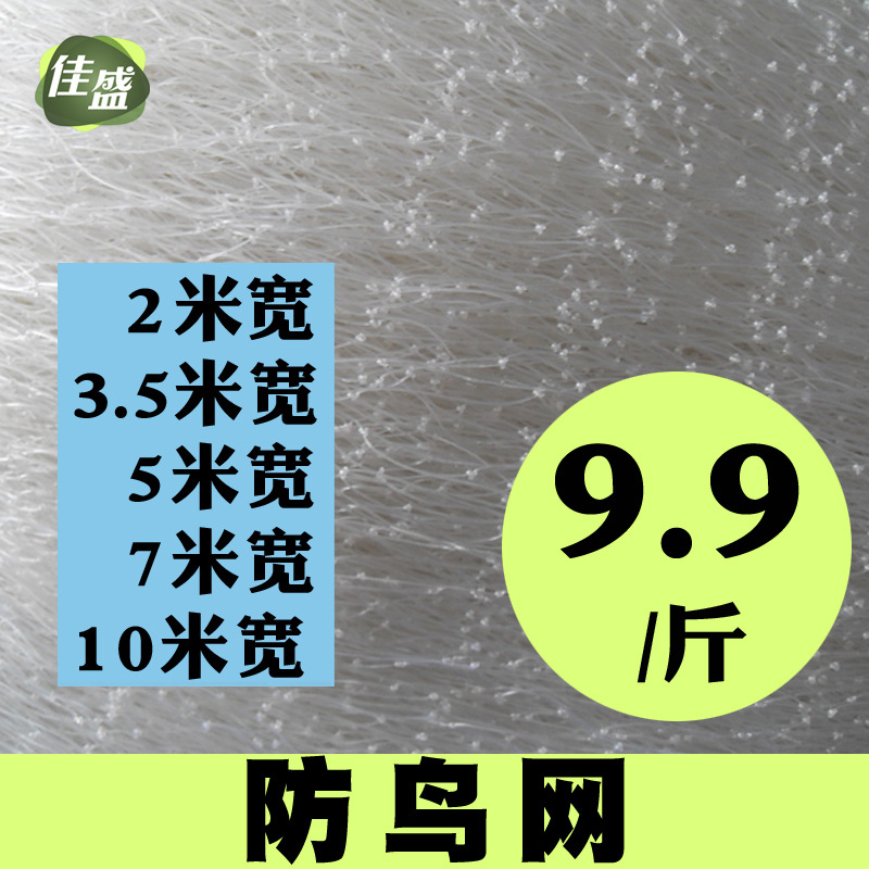 30米宽厂家直销果园防鸟网 葡萄防鸟网 家禽网 养殖网 尼龙网