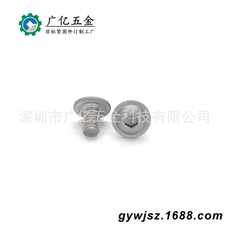 广东螺丝厂加工不锈钢螺丝  303不锈钢内六角螺丝钉 304非标螺丝