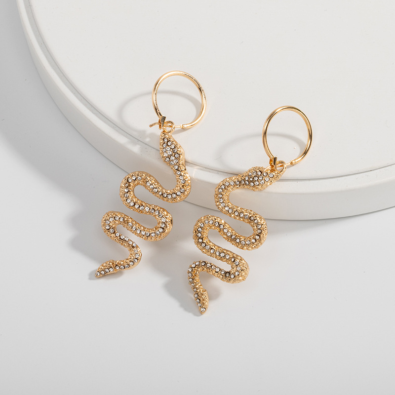 Boucles D&#39;oreilles Créatives En Forme De Serpent display picture 7