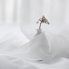 【純色網紗】蕾絲布網格紗布大尺寸白色婚禮背景布拍照道具(鎖邊)