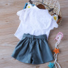 Mesh Butterfly shirt and shorts for children