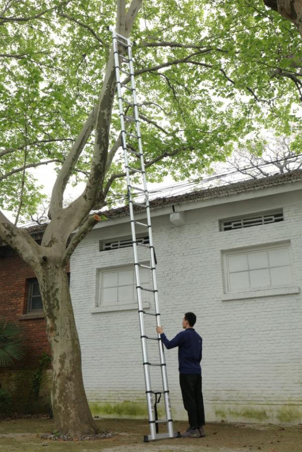 微信图片_20190416150903