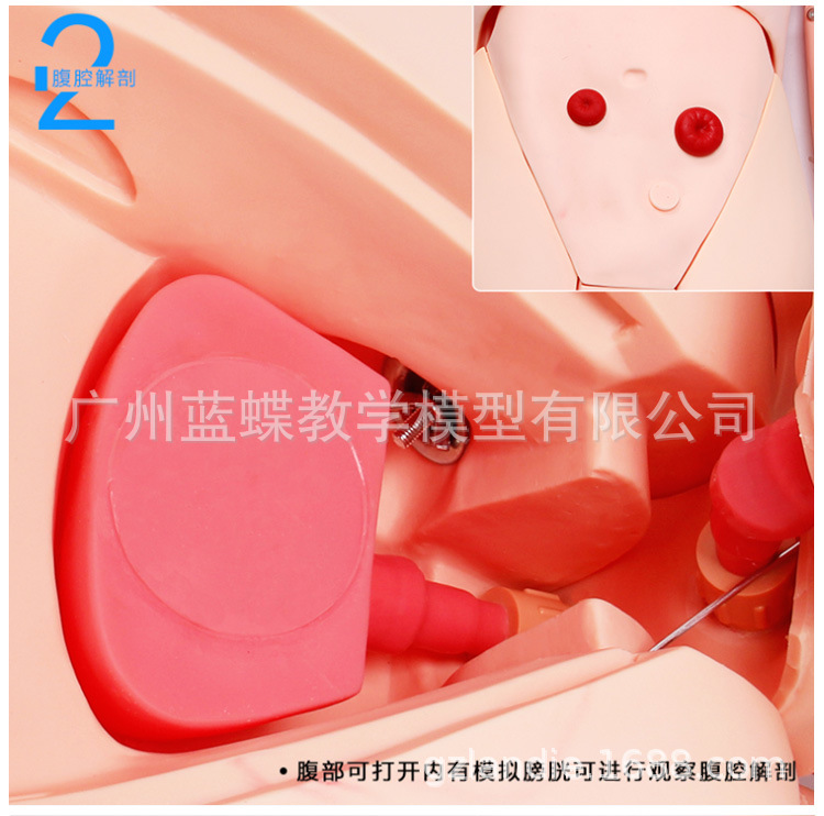 �߼�ȫ���ܻ���ѵ��ģ�������Ի�������ȫ�������ϻ���ѵ��ģ����