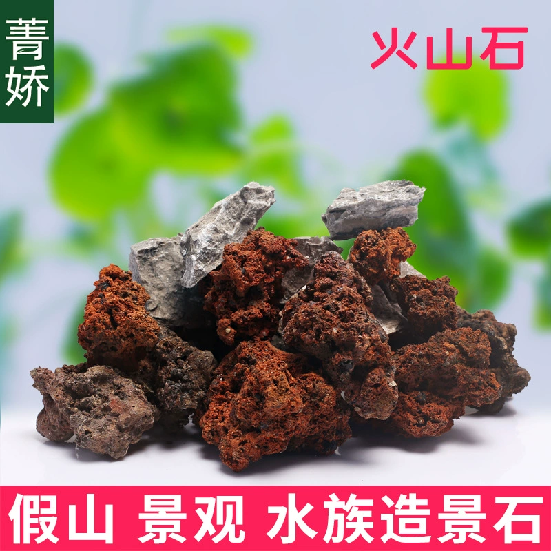 Вулканический камень мох мясистый микропейзаж DIY материал горшок Садоводство зеленое растение цветок декоративные украшения