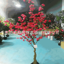 һ辰 cƵb쾰һ |ݸGֲƷƏS