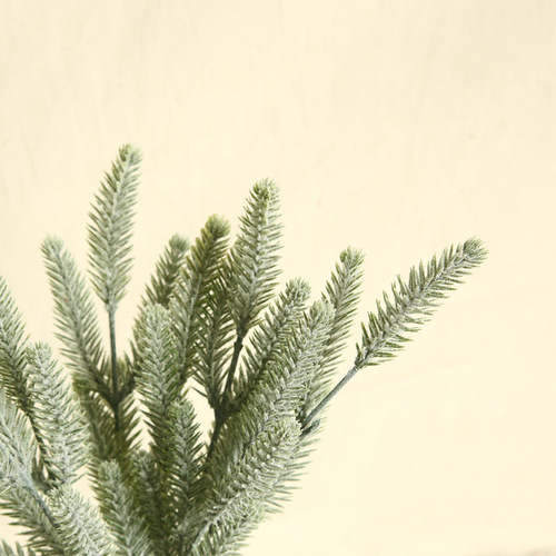 Simulated Flower INS Style Fox Tail Grass Manufacturer Home Decor Wedding Handheld Flowers Wall Plant Wall Artificial Flowers MW56666