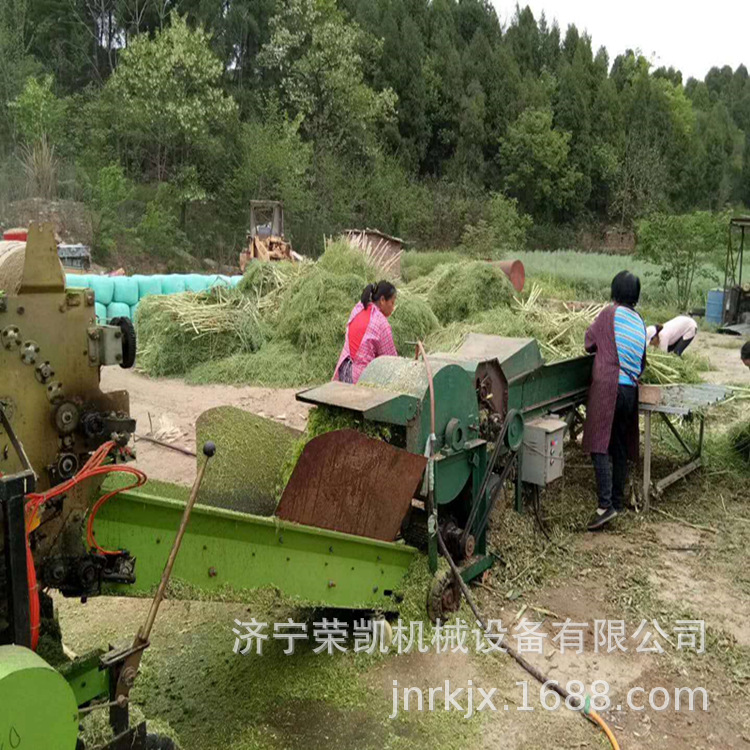 柴油机带动养牛羊用饲料铡草揉丝机厂图片玉米秸秆粉碎揉搓机价格