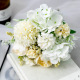 peony white