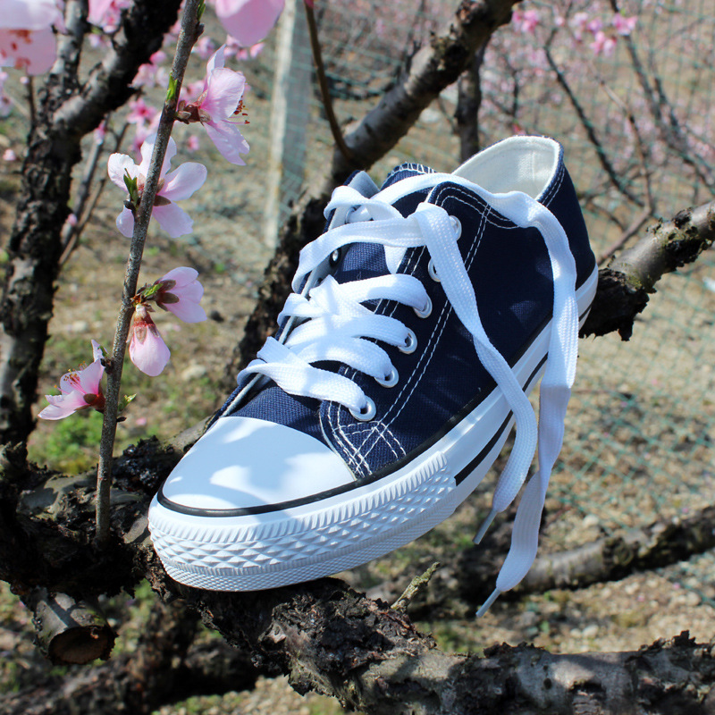 小白鞋帆布鞋春新款百搭小白帆布鞋女学生韩版原宿帆布鞋