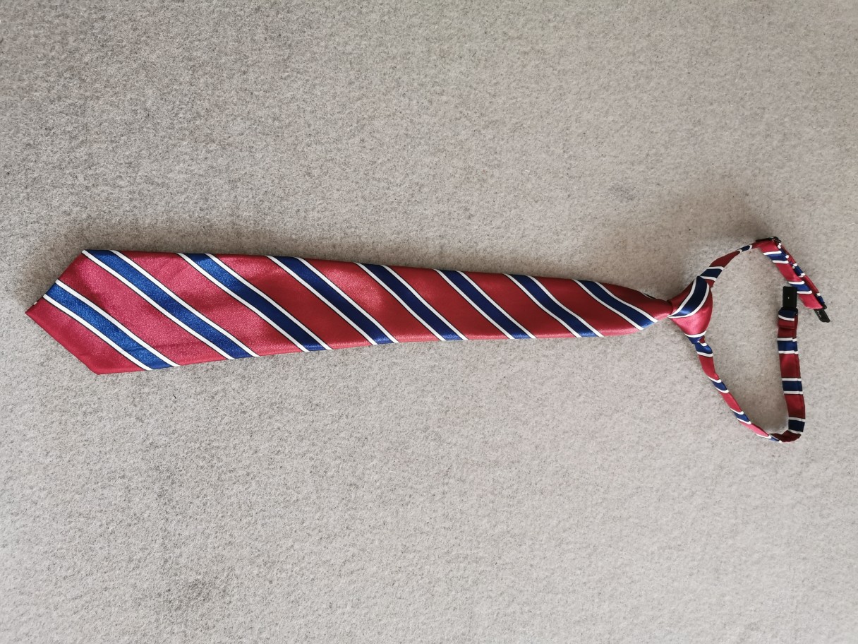 Red and blue striped tie students tie tie collar flowers