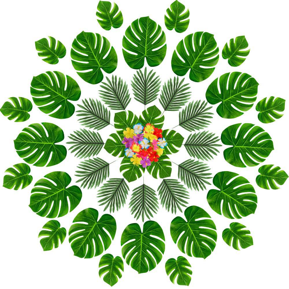 71tAmM8U4fL._SL1000_ (1)