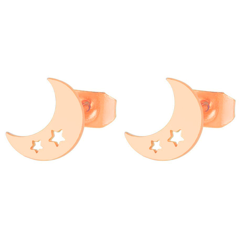 Women's Simple Style Moon Stainless Steel No Inlaid Ear Studs Hollow Out Stainless Steel Earrings display picture 7