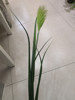 Single reed simulation Reed Potted Plant Simulation Dog Tail Bar Reed Indoor Decoration Green Plant Network Red Reed Cross -border