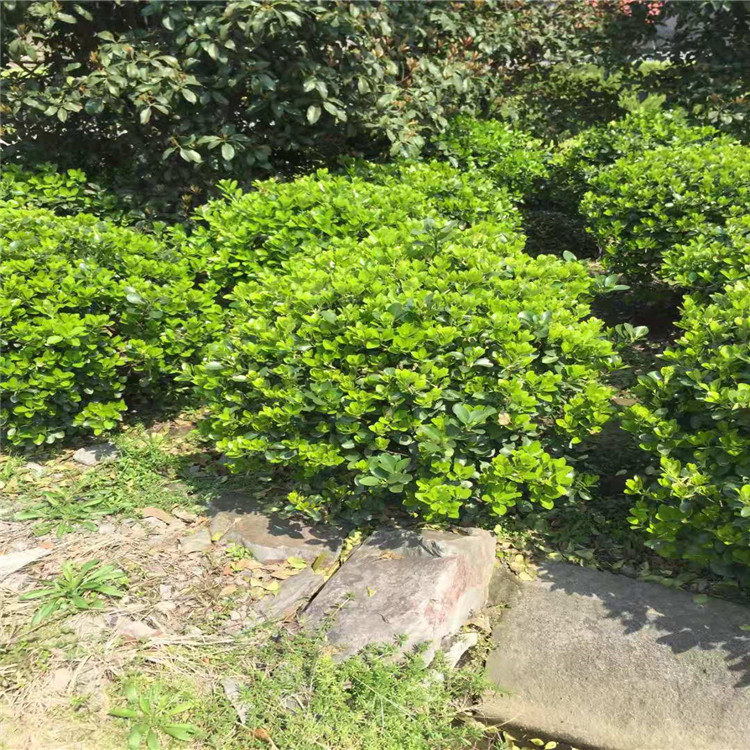 微信图片_20190924001104