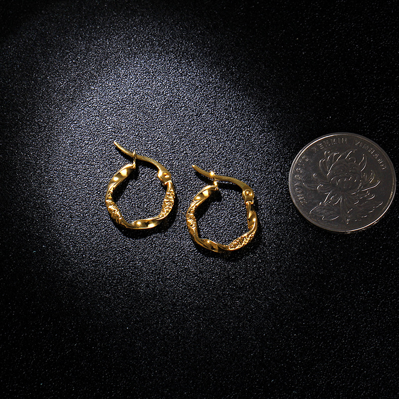 Titanium&Stainless Steel Fashion Geometric earring(Gold 1.5cm)Fine Jewelry NHIM1683-Gold-1.5cm