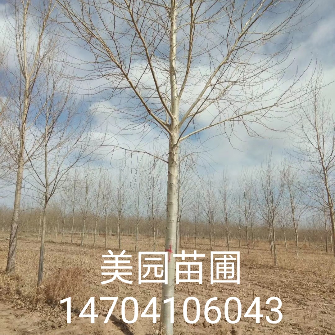 微信图片_20190314161717