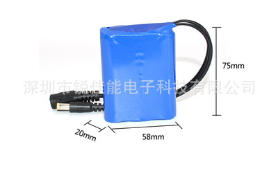 厂家生产供应12V18650锂电池组配充电器