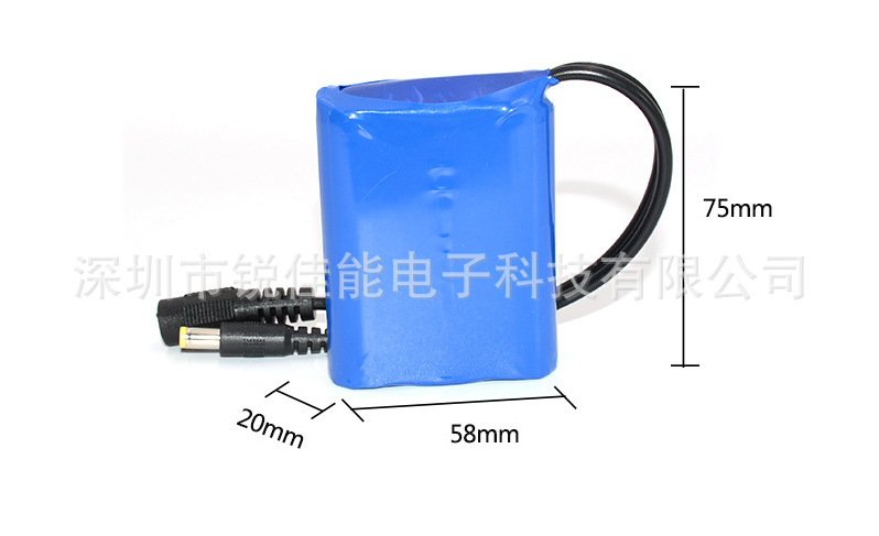 厂家生产供应12V18650锂电池组配充电器