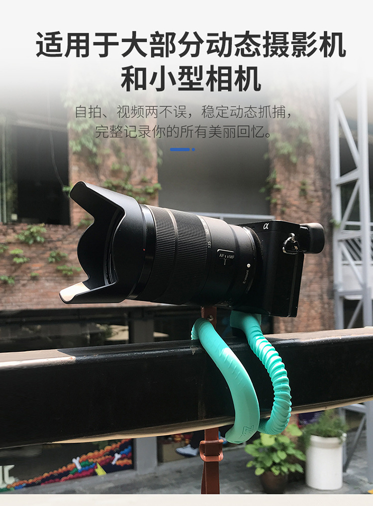 Perche selfie en Non - Ref 3387178 Image 13