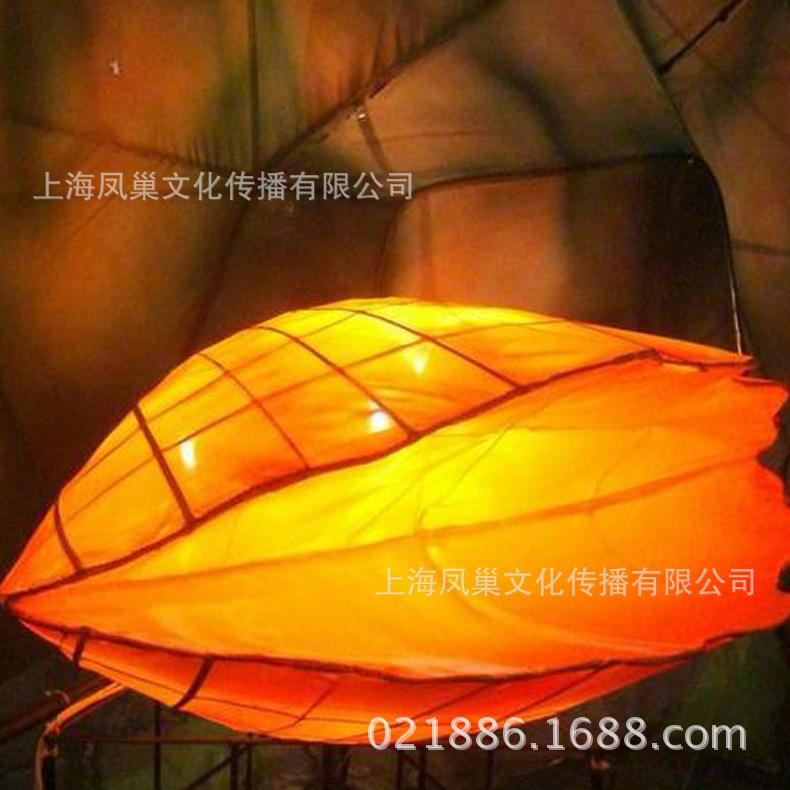 �Ϻ����ﻨ�Ƶ�չ���ֹ��Ʋʵ��������ʥ������װ�λ���led����