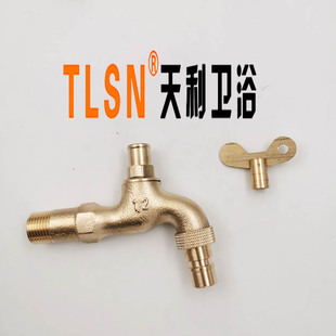 Outdoor anti-theft faucet with key for garden door with copper lock single cold outdoor extension quick opening faucet