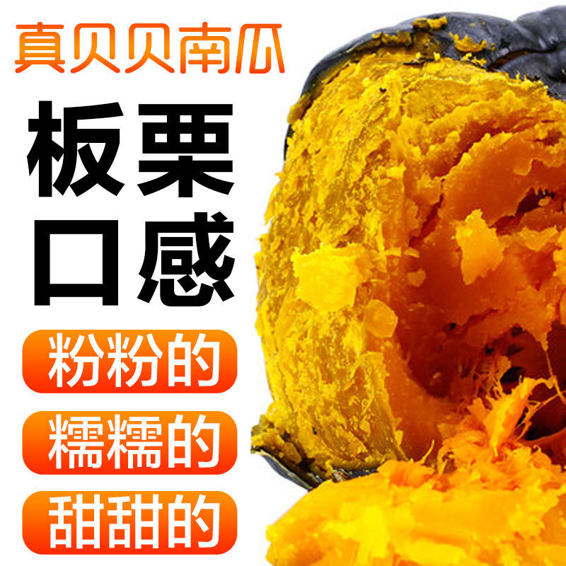 山東 板栗南瓜 真貝貝南瓜新鮮蔬菜迷妳小南瓜1斤 貝貝瓜輔食代發