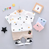 Summer summer clothing, set girl's, light and thin short sleeve T-shirt for boys, suitable for import, Korean style