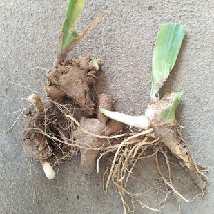 �������u���{���Sβ�� ���Sβ�N�� ���ص��Sβ�N����������