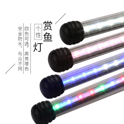 现货销售水陆两用水中防水照明灯水族箱潜水罗汉灯鹦鹉灯颜色可选