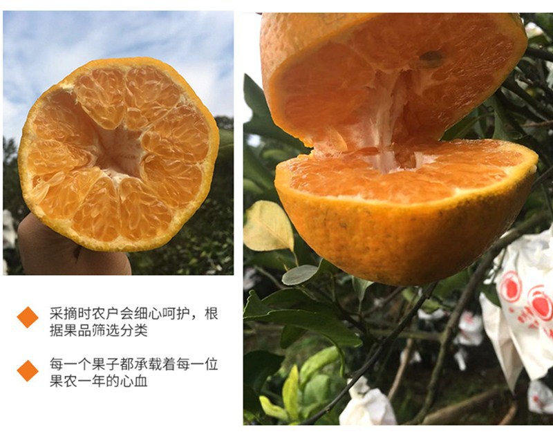 9849497312_1421287580_副本