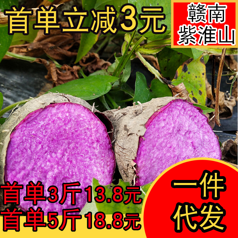 【赣南紫淮山】一件代发新鲜产地现摘当季现季紫大薯蔬菜山药