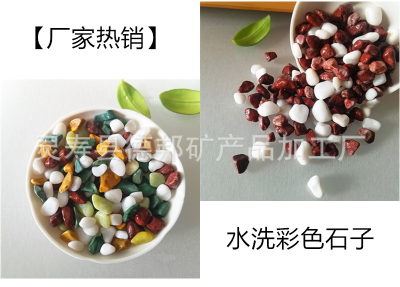 彩2.jpg