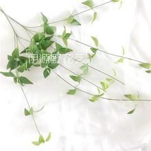 96cm �F��ɏ�~�ٻ����滨�ڒ��ٗl������y���~��c�b���ֲ��