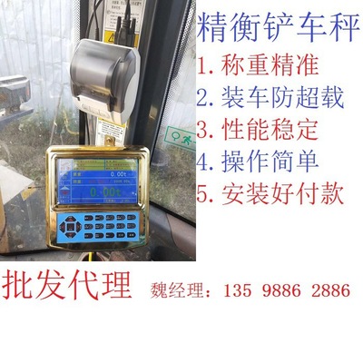 Urumqi Loaders Electronic scale Measurement scales Installation payment Models Loaders Manufactor