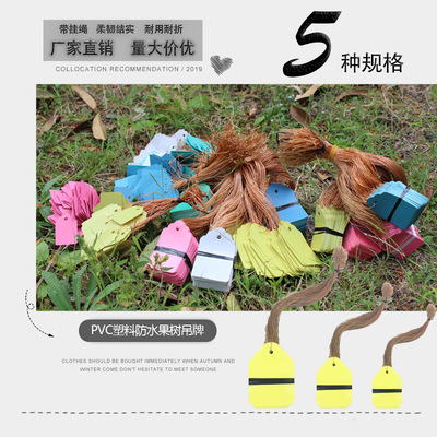 供wish植物吊牌园艺标签花卉记号牌塑料耐用标记牌果树吊牌|ms