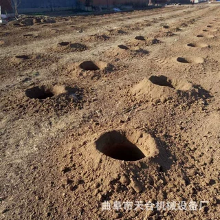 挖20-100厘米可选树坑机 各种型号挖坑机高效率 挖坑机供应厂家