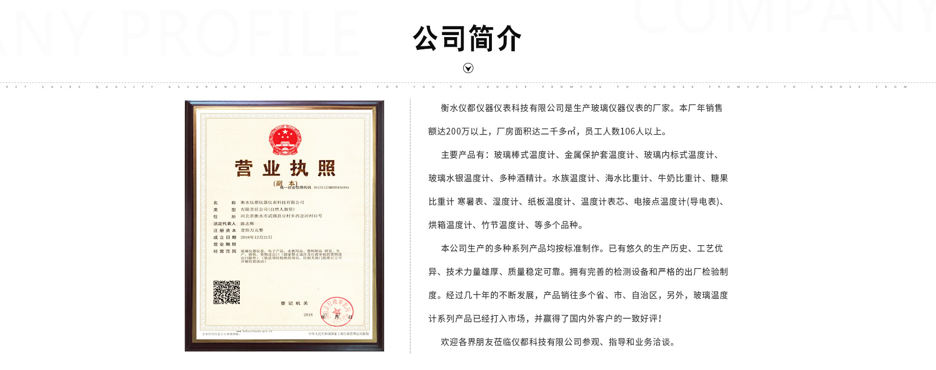 公司简介2